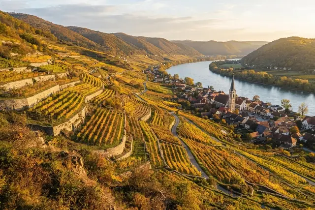 Wachau Ausflug: herbstliche Weinbergterrassen über der Donau mit Winzerort